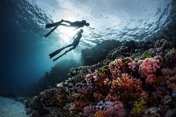 Diving and Visiting Giftun island with Snorkeling Boat Trip