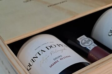Douro and Port Wine Tasting in Vila Nova de Gaia