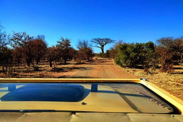 Unique Game Drive in Zambezi National Park in open Safari Jeep