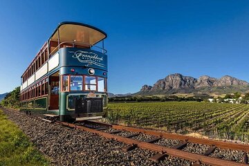Cape Winelands in Stellenbosch and Franschhoek Private Tour