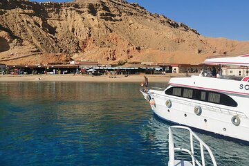 Ras Mohammed & White Island Snorkeling Trip in Sharm El Sheikh