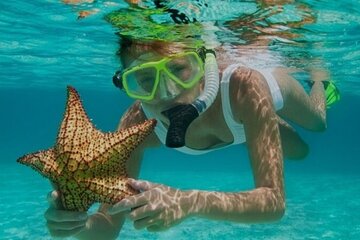 Snorkeling with Margaritaville and shopping in Montego activity 