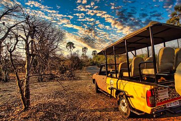 Private Safari with 4WD around the sights of Victoria Falls Town