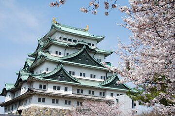 Tokugawa Garden and Nagoya Castle Sakura view 1 Day Walking Tour