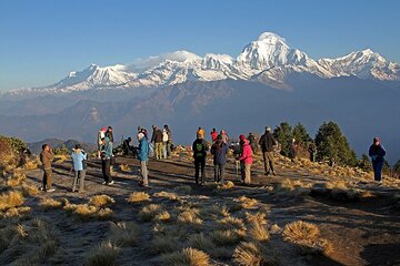 4 Day Private Poon Hill Trek and Tandem Paragliding in Pokhara