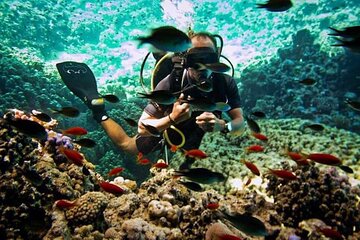 Diving Day Trip by Boat at Ras Mohamed in Sharm El Sheikh