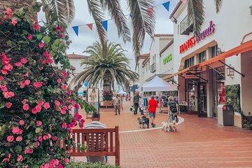 Private Shopping Tour from San Diego to Outlets at San Clemente