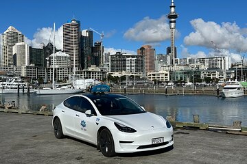 Go Guided Auckland City Tour... the Smart Way