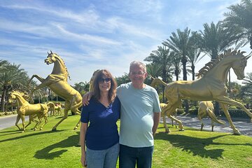 Dubai City Tour By Private Car