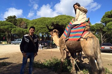 Private Half Day Guided City Tour in Tangier 