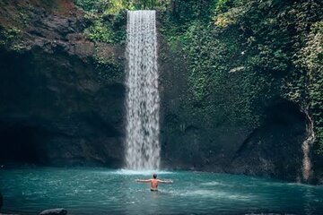 Ubud waterfall tour