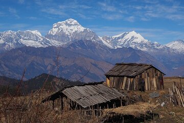 Pokhara 5 Day Private Trek to Mohare Danda