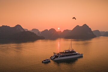 Full Day Group Tour in Halong