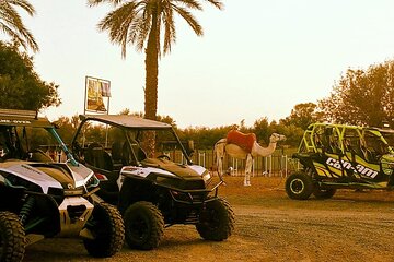  Desert Thrills: Quad Biking Adventures in Palmeraie Marrakech