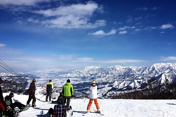 1-day Private Ski Lesson from Tokyo with Mt. Fuji Sightseeing