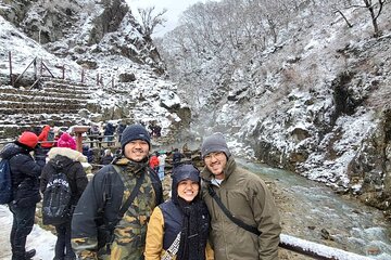 Explore Jigokudani Snow Monkey Park with a Knowledgeable Local Guide