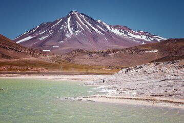 Full Day Private Tour of Piedras Rojas Altiplanic Lagoon Chaxa