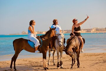 1-Hour Horse Ride Adventure in Sharm El-Sheikh