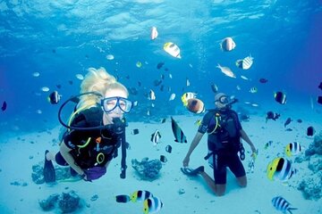 Scuba Diving with Lunch in Hurghada