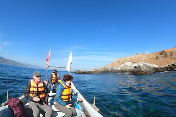 Penguins Watching Navigation Cachagua Island&Lunch From VALPARAIS