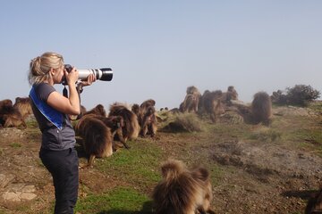  Simien Mountains 2-Night/3 Days Trek,Wildlife spotting & Camping