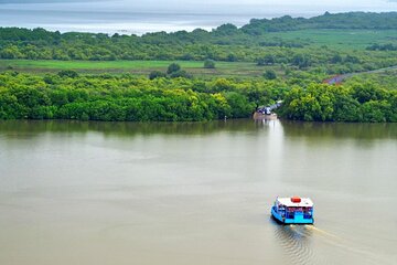 Divar Island-Nature & Backwater Cruising