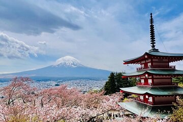 One Day Private Tour to Mt Fuji with English Speaking Driver