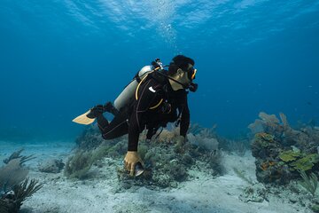 Ras Mohammed National Park With 1 intro Dive - Sharm El-Shaikh