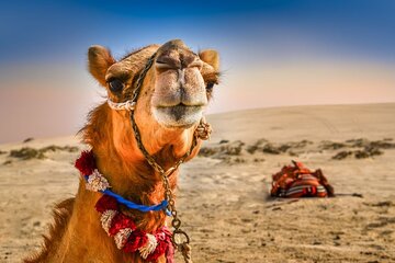 Hurghada Star Watching and Tour in the Desert 