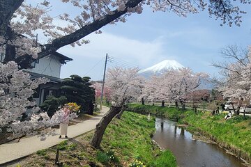 1 Day Private Mount Fuji Tour With English Speaking Driver