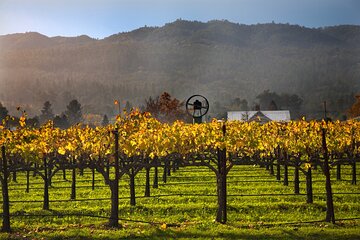 Full-Day Private Amador County Wine Tour from San Francisco