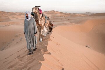 12 Days desert Life Discovery From Marrakech