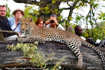 3 Day Kruger National Park Safari from Johannesburg & Pretoria