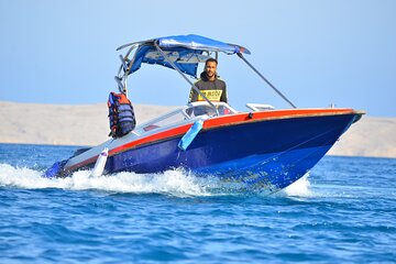 Swim with dolphin By Private Speed Boat and Sub wing Game - Hurghada 