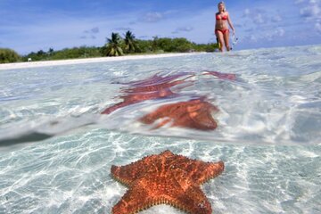 Full day tour to El Cielo in Cozumel Snorkeling Lunch and Drinks