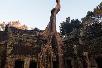 Angkor Wat, Ta Prohm, Angkor Thom & Phnom Bakheng Sunset Tours