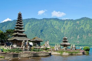 North Bali Private Tour in Bedugul Wanagiri Hidden Hill