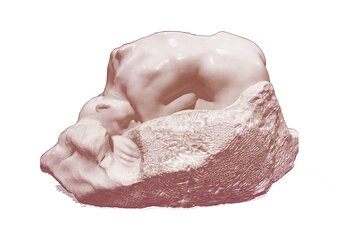 Rodin Museum: Skip-the-line Guided Tour with Artist