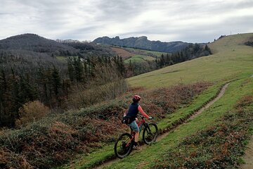 Mountain Bike Small Group Tour in San Sebastian