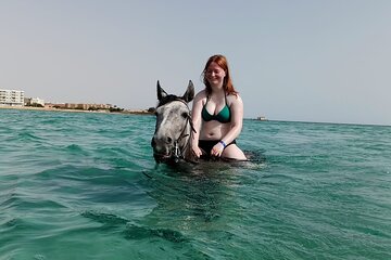 Spend Professional 2 Hours Horse Riding & Transfer From Hurghada