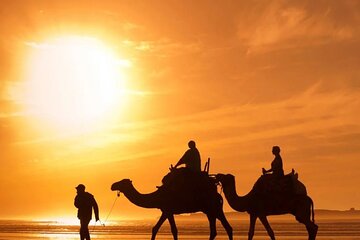 Afternoon Desert Safari Jeep and BBQ Dinner from Dubai