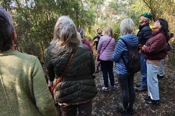 Birdwatching Workshop in Melbourne