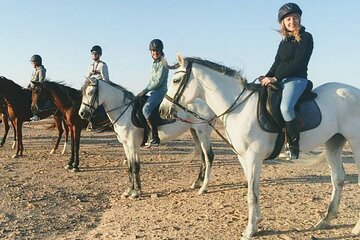 Horse Riding 1-Hour Adventure Trip With Transfer - Hurghada