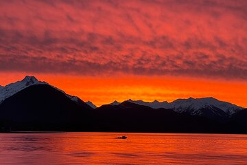 Sitka's Ultimate Wildlife Boat Tour