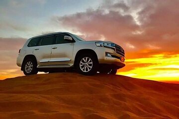  Desert Adventure with ATV and Camel Ride and Live Shows