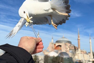 Multi 2 Days Private Guided Istanbul Iconic Landmarks City Tour 