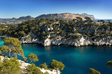 Discover Cassis from Marseille Cruise Port or Hotel by Luxury Van