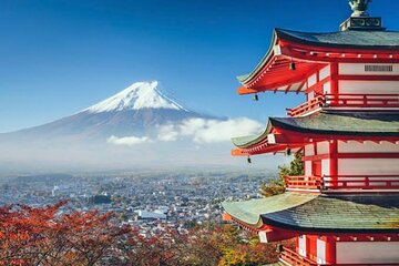 MT Fuji and Hakone Private Group Tour (Upto 9 Persons) by Hiace