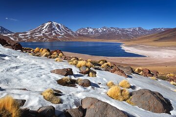 1-Day Tour Altiplanic Lagoons and Piedras Rojas and Laguna Chaxa