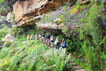 Blue Mountains Small Group Tour with Waterfall Walk & Fresh Lunch